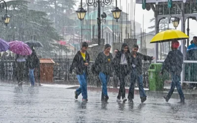 Weather Update: यूपी, बिहार और पश्चिम भारत में 6 दिन मूसलाधार बारिश का अलर्ट, जानें कहां होगी सबसे ज्यादा बारिश | IMD Forecast Weather Update यूपी बिहार पश्चिम भारत Heavy Rain Alert IMD Forecast मूसलाधार बारिश
