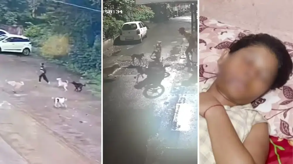 आवारा कुत्तों का कहर: कानपुर से पुणे तक, तीन खौफनाक घटनाएं जो आपको हिला देंगी